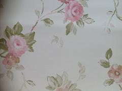 暢銷歐式印花墻紙生產(chǎn)廠家推薦_美蘭壁紙圖片|暢銷歐式印花墻紙生產(chǎn)廠家推薦_美蘭壁紙產(chǎn)品圖片由海口 裝飾工程公司生產(chǎn)提供-